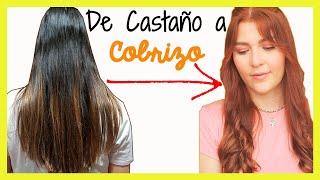 Cómo PINTAR el cabello COBRIZO💆‍♀️ SIN DECOLORAR 👩‍🦰 [upl. by Unity]