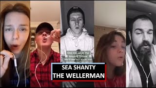 The Wellerman  TikTok Sea Shanty mashup 2021 [upl. by Dronel376]