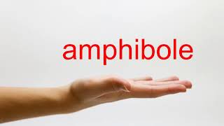 How to Pronounce amphibole  American English [upl. by Adihaj]