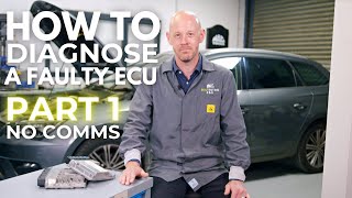 How To Diagnose A Faulty ECU With No Communication [upl. by Nylasor713]