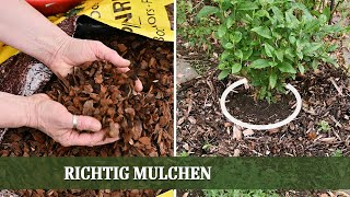 Mulchen  aber richtig Vor und Nachteile verschiedener Mulch Materialien im Überblick [upl. by Inahteb725]