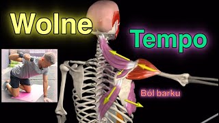 Ból barku Trenuj w WOLNYM TEMPIE [upl. by Scherle280]