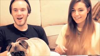 PewDiePie say to his Dog Deutschland  PewDiePie Sagt zu Seinem Hund Deutschland [upl. by Aicire378]