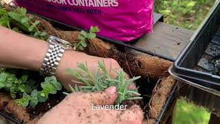 How to Install a Garden Window in your Kitchen [upl. by Nnaecyoj999]