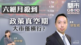 20240603｜港股價量齊跌 六絕月命運難料？｜新能源車企5月數據｜ETF部署策略｜嘉賓：張智威｜開市Good Morning｜etnet [upl. by Lachlan]