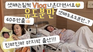 출산vlog 셋째도 유도분만이라니🥲  3시간만에  유도분만성공  무통천국🧚🏻‍♀️ [upl. by Candis934]