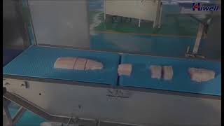 Hiwellintelligent portion cutter fish portioning machine [upl. by Anayhd281]