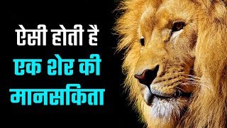 ये होती है शेर की मानसिकता  THE LION MENTALITY  HINDI MOTIVATION  Never Quit [upl. by Gill405]