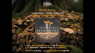 Mycelia Journey  YAIMA MUSIC  Concert from the Forests of Pacific Northwest [upl. by Engenia466]