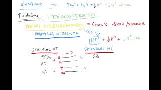 ANP primary hyperaldosteronism primary vs secondary hypertension water met part 2 ENGLISH [upl. by Emlynne]