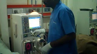 Dialysis process [upl. by Eedna]