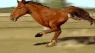 2 Legged Horse Running [upl. by Liu]