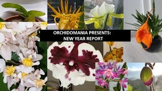 Orchidomania Presents New Year Report [upl. by Nylirak]