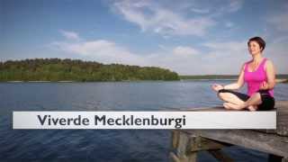 Ferienhaus Mecklenburgische Seenplatte Ferienhaus in MV Viverde Ferienhäuser [upl. by Anerhs]