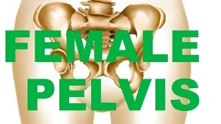 Female Bony Pelvis Types  In relation to CHILDBEARING [upl. by Fiorenza]