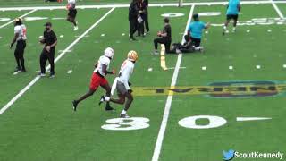 Racey McMath Highlights  LSU Football [upl. by Gaidano]