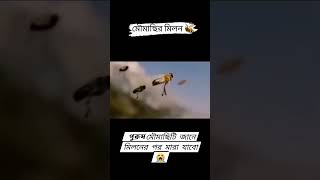 কি অদ্ভুত নিয়ম।🥹বইতে তো অনেক পড়েছো এবার স্বচক্ষে দেখো✅experiment trending [upl. by Yeta]