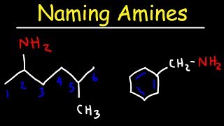 Naming Amines  IUPAC Nomenclature amp Common Names [upl. by Inoj]