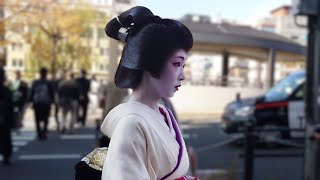 A Stroll Through Minamiza amp Miyagawacho’s Geisha District in Kyoto  京都、南座～宮川町を歩く美人舞妓芸妓と外国人観光客、海外の反応 [upl. by Henriette835]