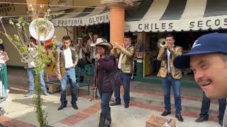 Banda los halcones apoyando a Euardin de mimbres para sus gastos médicos [upl. by Noffihc]