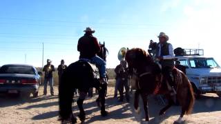 Dancing Horses Rocky Point Puerto Penasco Mexico [upl. by Galina]