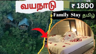 Best resorts in wayanad Wayanadtouristplaces wayanad bestresortsinwayanad familyresortinwayanad [upl. by Zamir567]