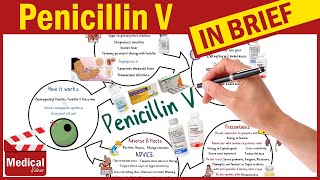 Penicillin V  Pen Vee K  What is Penicillin Used For Dosage Side Effects amp Precautions [upl. by Silecara]