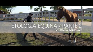 Mundo de Caballos  Programa 48  La etología equina Parte 2 [upl. by Hultin961]