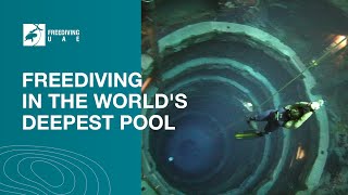 Freediving in the worlds deepest pool  Deep Dive Dubai [upl. by Genna]