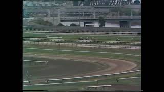 Flemington races April 25th 1981 [upl. by Anairol73]