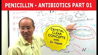 Penicillin  Antibiotics  Dr Najeeb  Part 14 [upl. by Yusem]