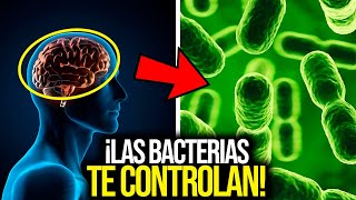 ¿Sabías que las BACTERIAS CONTROLAN TU CEREBRO  Descubre la conexión Intestino Cerebro [upl. by Gaskin]