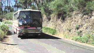 Autocarros Madeira 2015 Parte3 [upl. by Arri67]