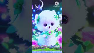 Ai cat for gogol video shorts video new challenge subscribe challenge koton video [upl. by Giacopo]