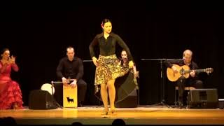 Tientos Flamenco TanzDanceBaile [upl. by Llevron1]