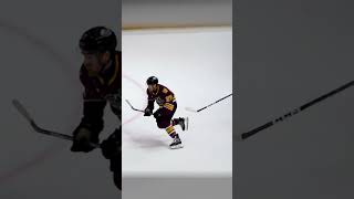 Josh Melnick GOAL vs Rockford Icehogs chicagowolves hockey hockeyhighlights viralvideo [upl. by Mikes844]