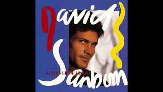 David Sanborn  Chicago Song The Saxie Recut Version [upl. by Leibman]