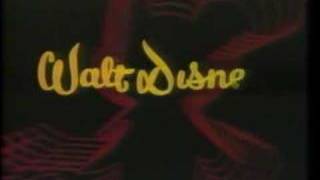 Walt Disney Home Entertainment VHS Intro [upl. by Edme]