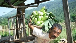 Gravity Goods Ropeway in Nepal [upl. by Ail]