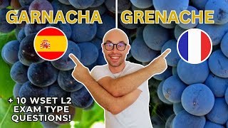 Garnacha  Grenache for WSET Level 2 in Wines 10 WSET exam type questions [upl. by Errick]