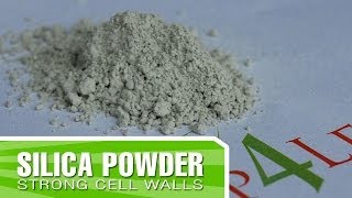 Organic Silica from Kelp4lesscom  Improve your plants structure and cell walls [upl. by Sirromad]