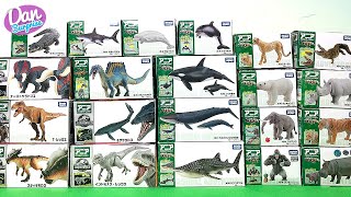 Dinosaurs Wild Animals Sea Animals from Takara Tomy [upl. by Vonni]