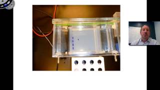 Agarose Gel Electrophoresis [upl. by Nemad]