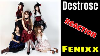 Feel the Fire of Destroses Fenixx  Music Video Reaction [upl. by Eel]