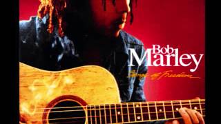 Bob Marley Songs of Freedom disc 4 tracks 810 [upl. by Borden522]