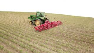 Einbock Row Guard  Chopstar Cultivator in Corn [upl. by Dowling416]