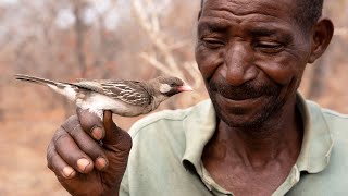 Successful honeyhunters know how to communicate with wild birds [upl. by Eidur]