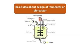 Basic design of fermentor or Bioreactor  fermentor vs fermenter  hindi  Bioreactor  Fermentor [upl. by Sarina298]