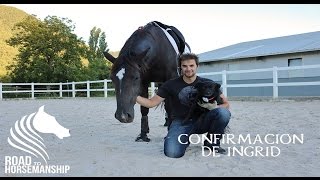 Doma Natural  Cómo REEDUCAR a tu caballo 77 [upl. by Aerdnaz]