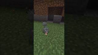 Mining infested stone on Minecraft minecraft minecraftshorts minecraftanimation [upl. by Ganley]